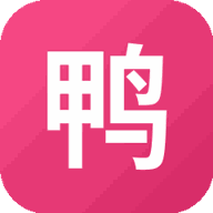 鸭鸭收纳大师游戏图标