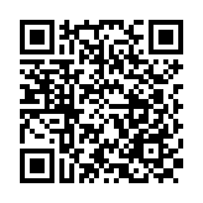 仔仔派对闯关二维码